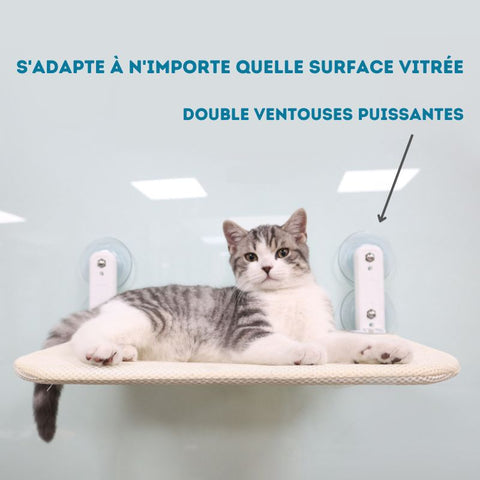 Hamac Chat Fenêtre - Livré avec une Couverture Douce ! Couleur Kaki