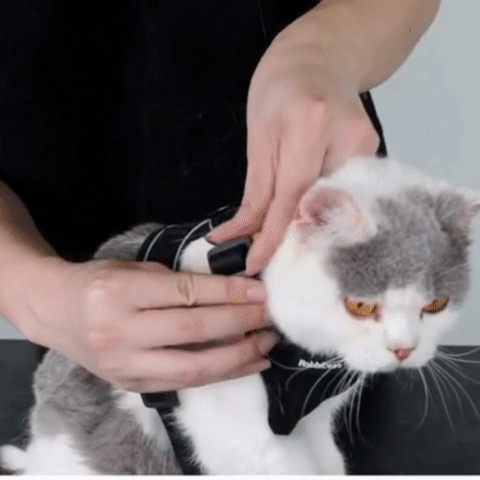 harnais anti-fuite pour chat souple CLASSIC uni noir