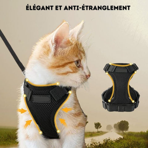 Harnais Chat Anti Évasion Léger Et Respirant,Harnais pour Chats Pas  D'étranglement，Accessoire Chat Harnais Chat Adulte，Noir Harnet pour  Chat，Set