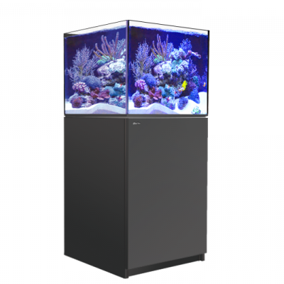 Red Sea Reefer 250 Deluxe System – The Reef Experience