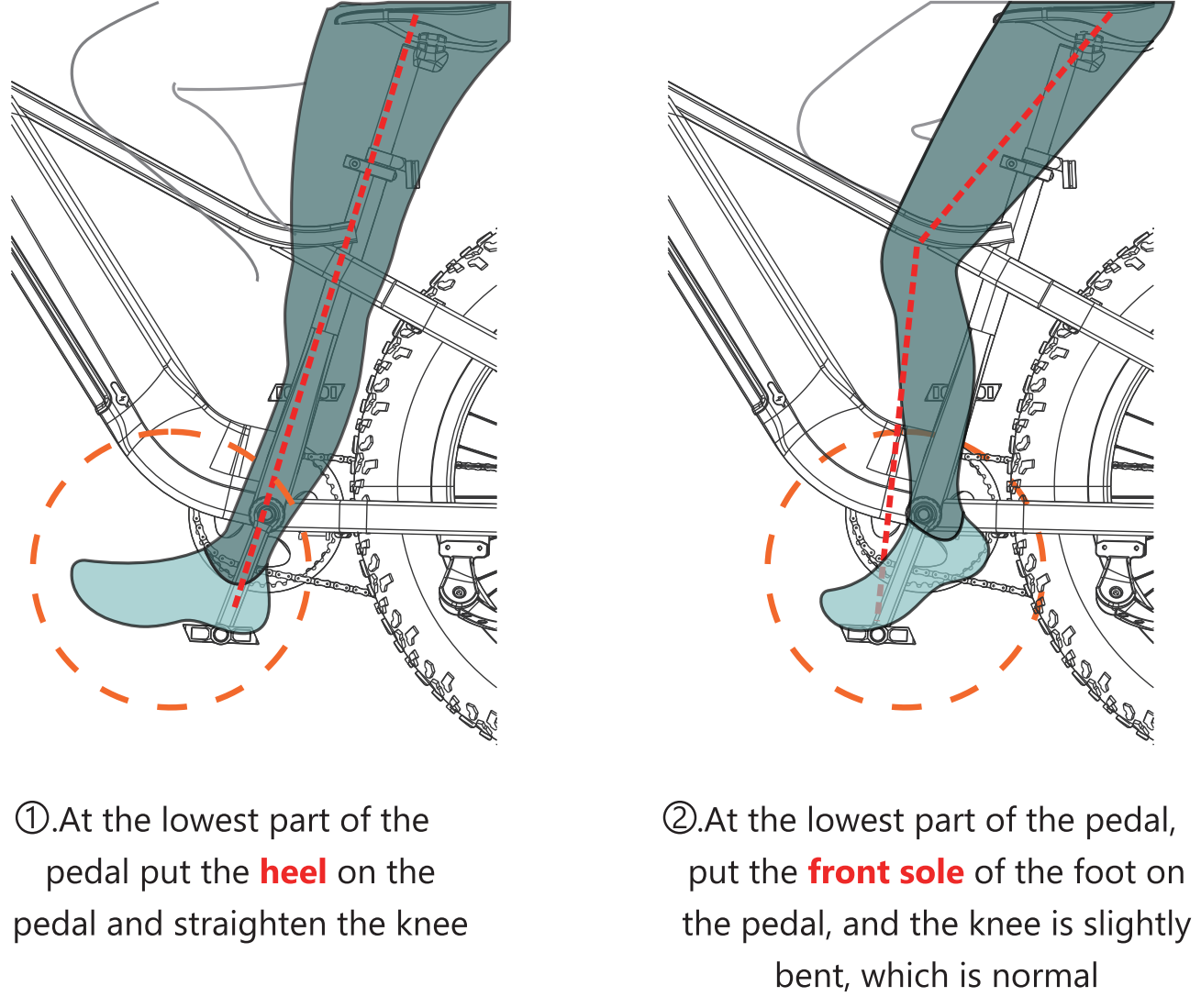 How to Adjusting the Seat Height? Freedare Ebike