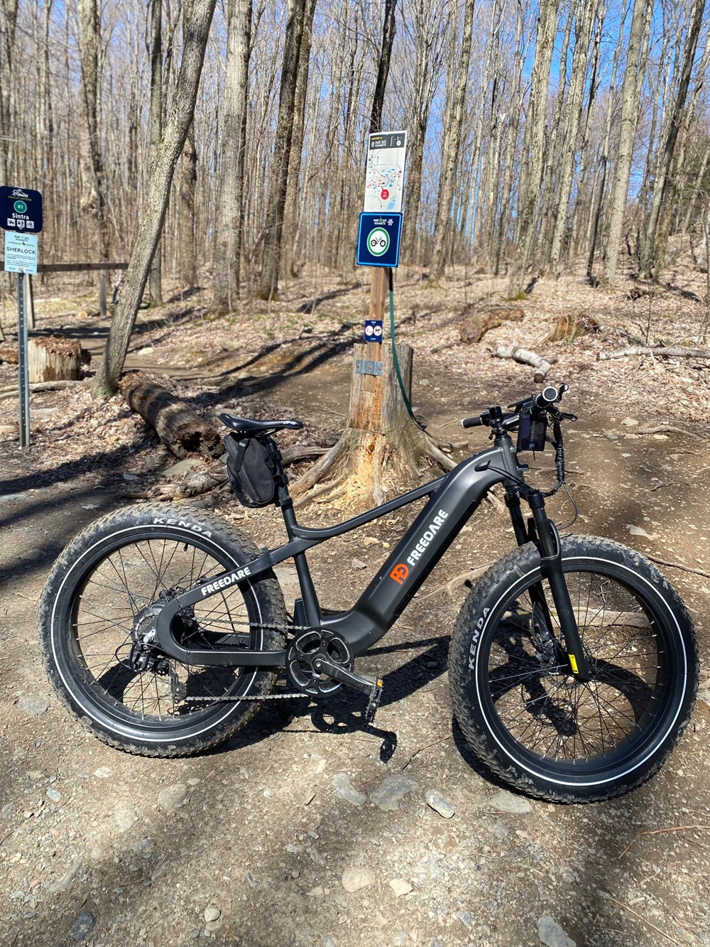 Freedare Saiga Fat Tire Electric Bike Customer Review