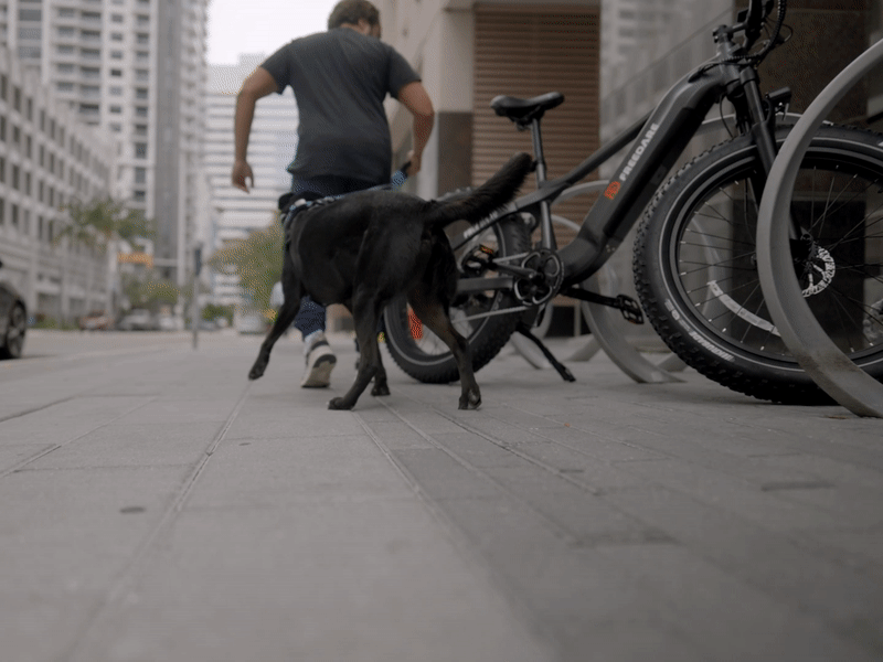 Freedare fat tire electric bike with GPS Antii-theft bike