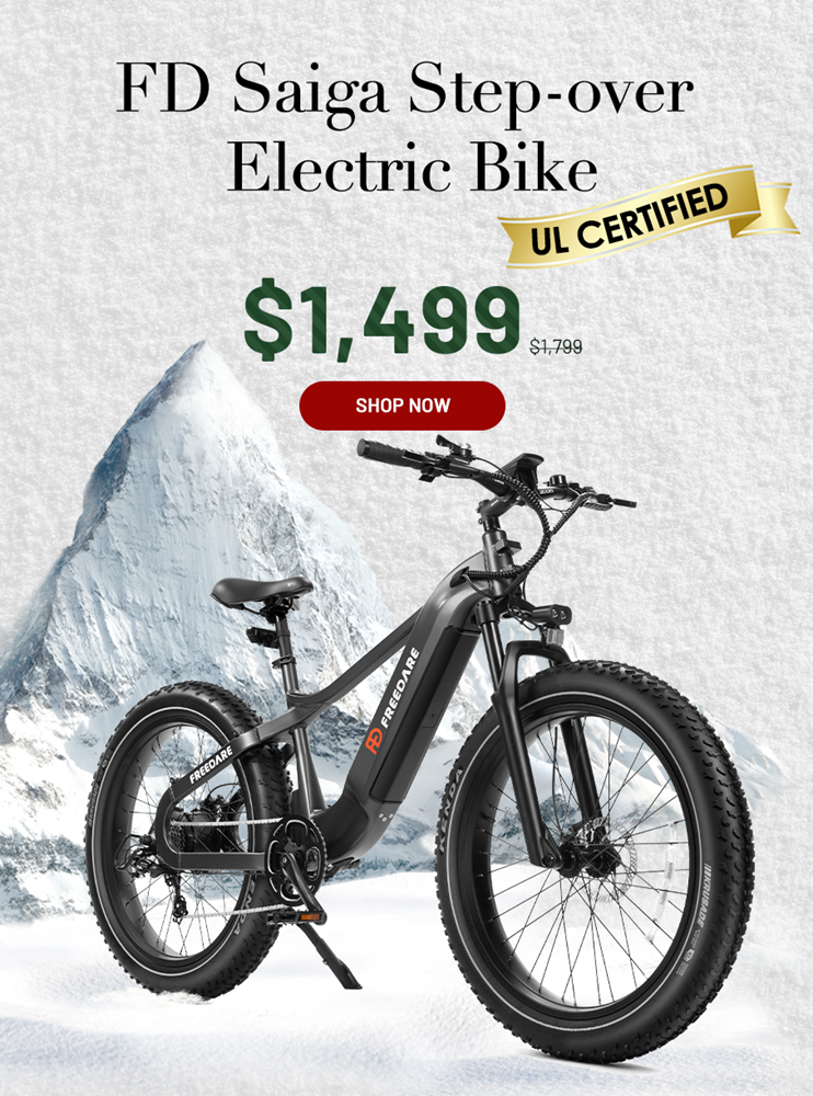FD Saiga MTB Electric Bike丨UL Certified FD EBIKE CHRISTMAS BANNER SAIGA 1.png__PID:ff74be16-8fa1-407f-bb55-18ee9d274ac3