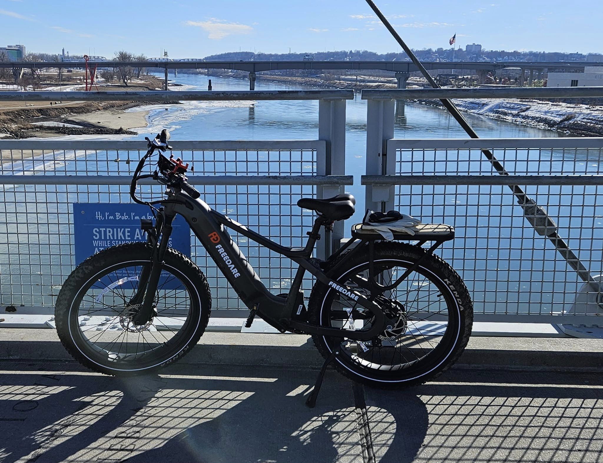 Freedare Saiga fat tire electric bike review