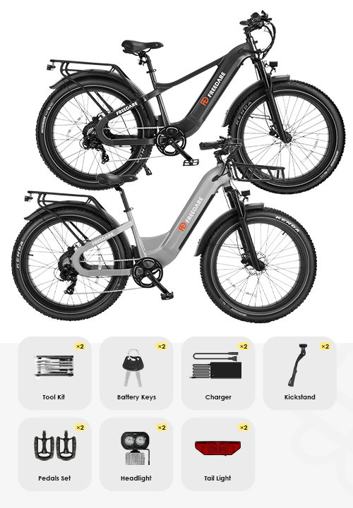 Freedare Bundle fat tire electric bike for sale.png__PID:41ba3b62-15d4-40ba-b532-bdce33fbeee4