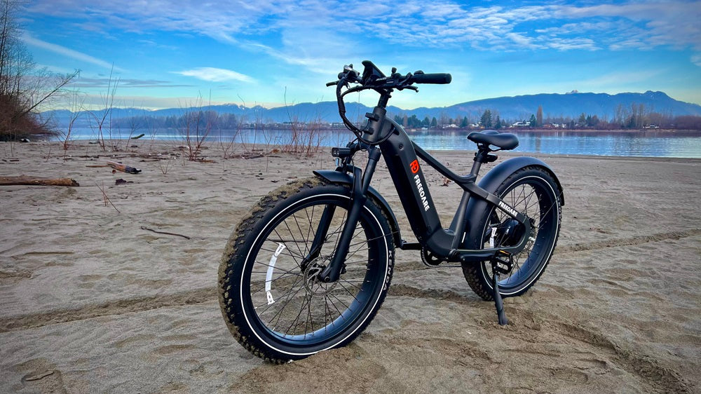 freedare saiga fat tire electric bike with GPS