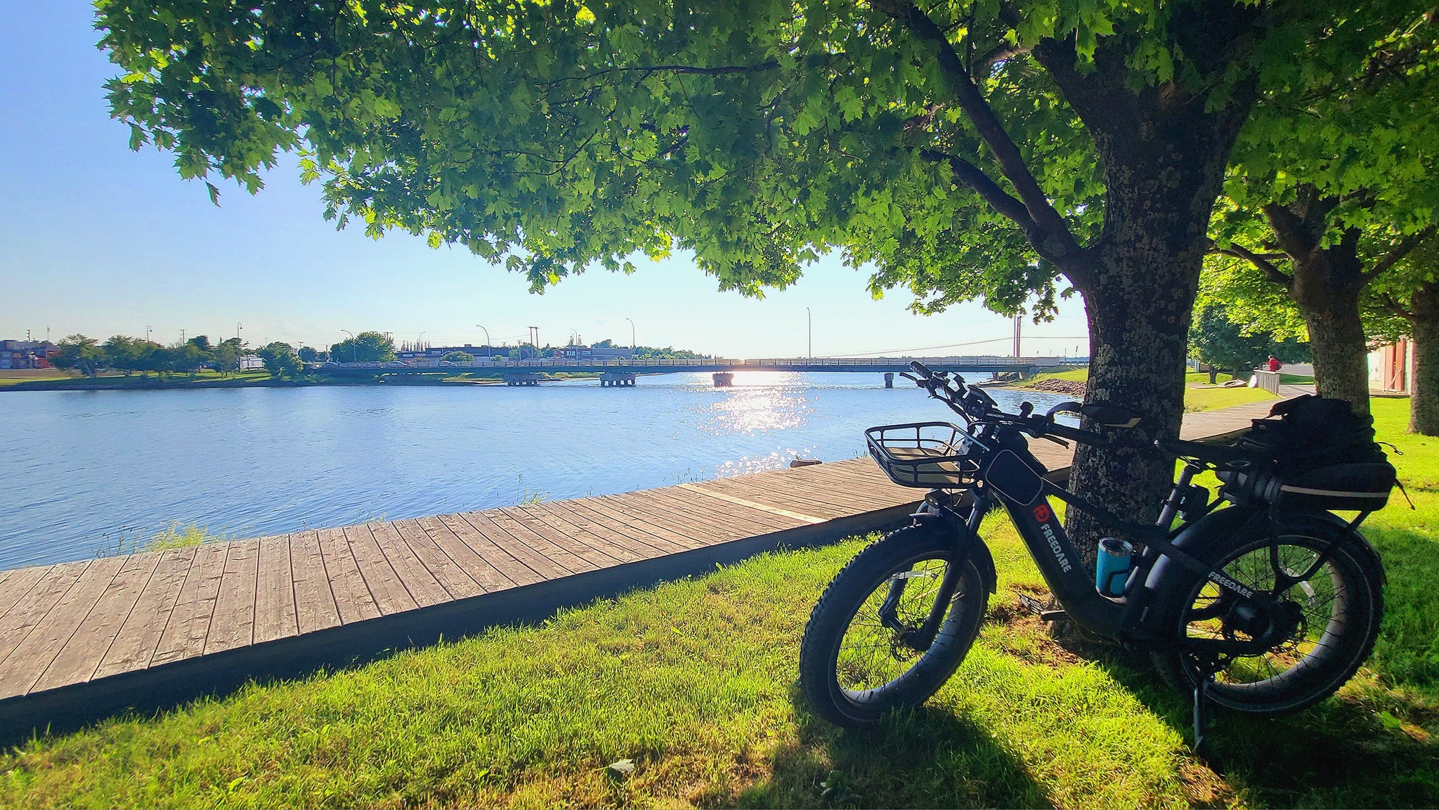 Freedare 750w fat tire ebike in usa