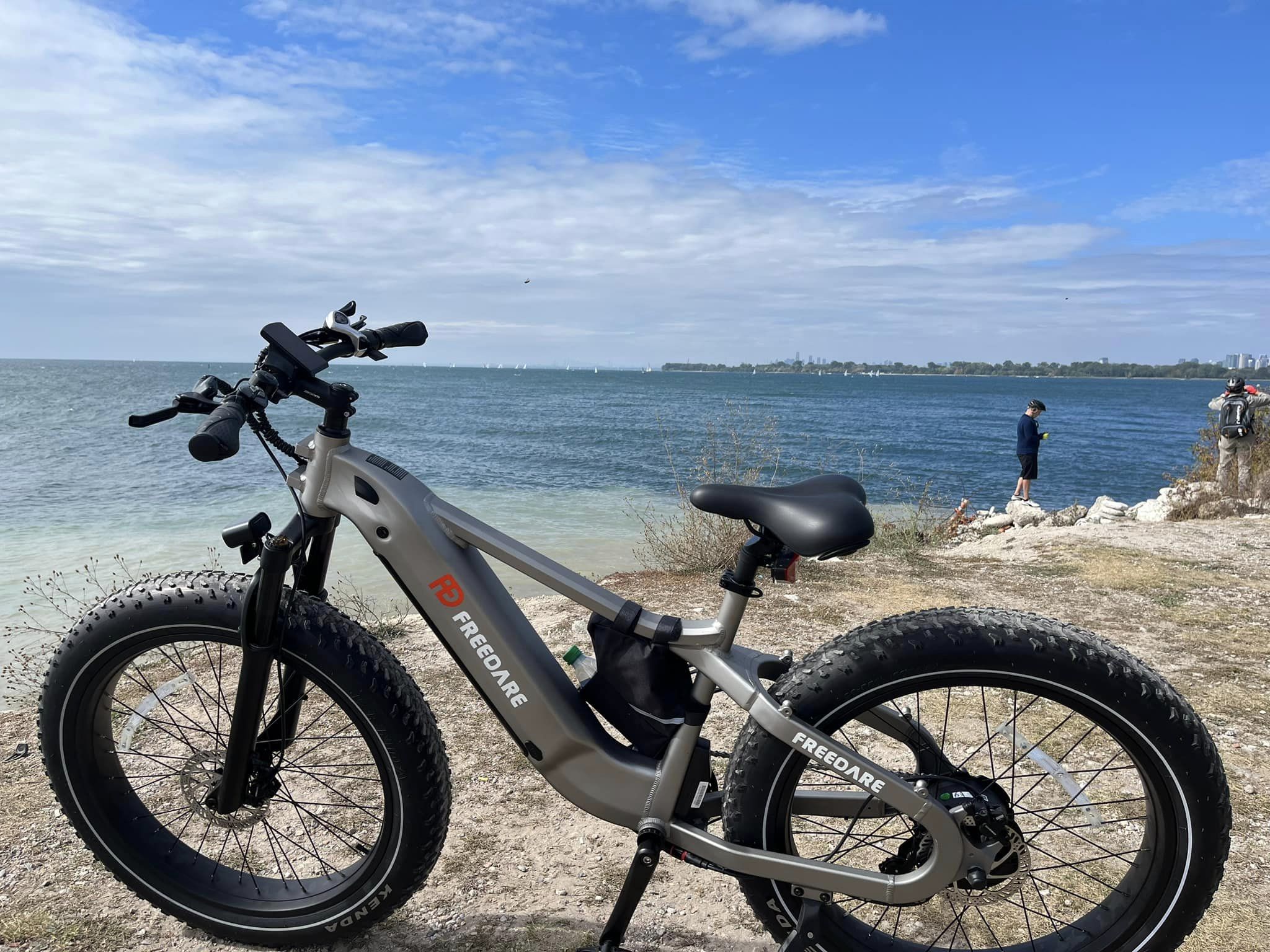 Freedare Saiga Fat Tire Electric bike for spring sale