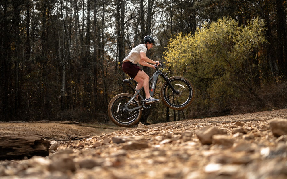 Freedare Saiga Fat Tire electric bike in USA