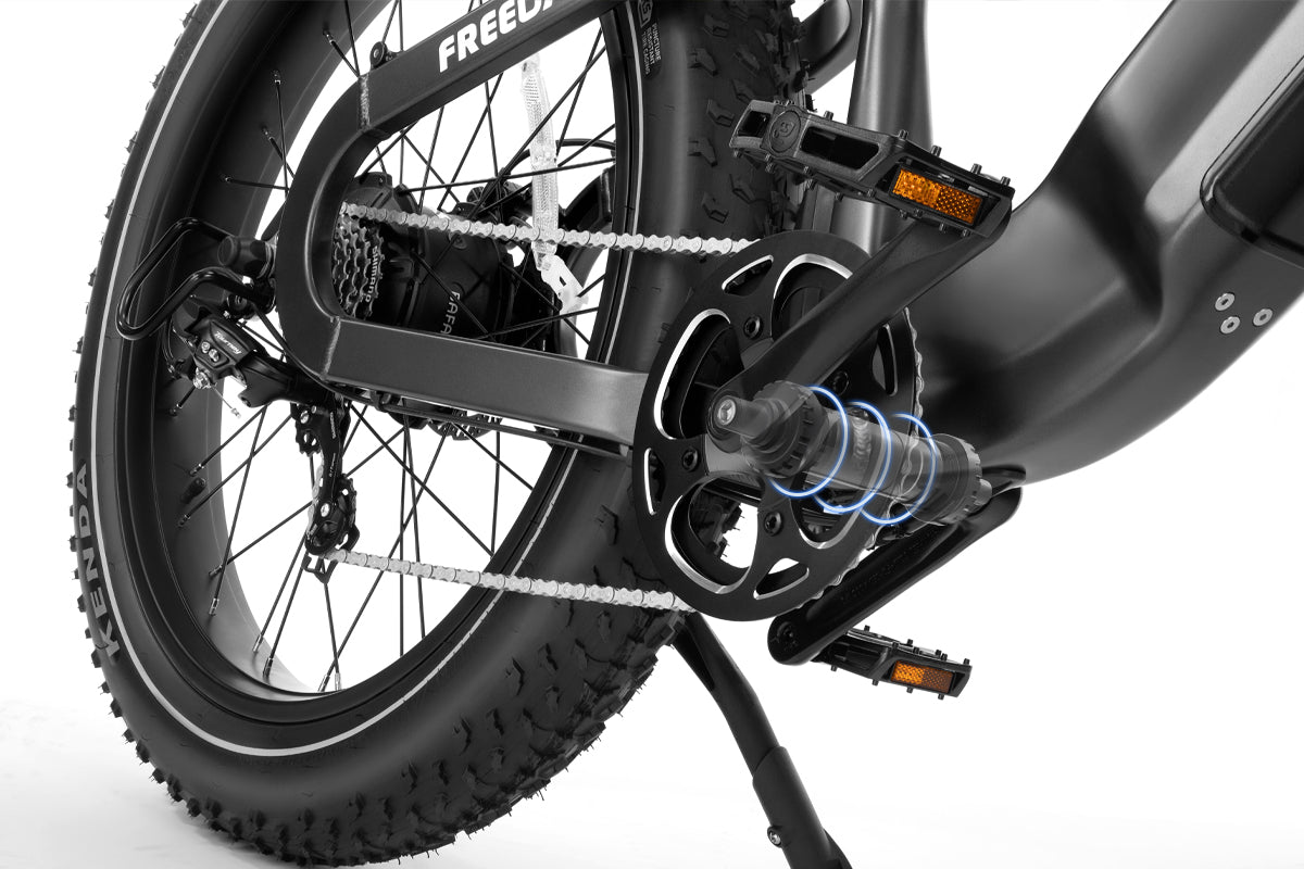 Freedare fat tire electric bike with torque sensor