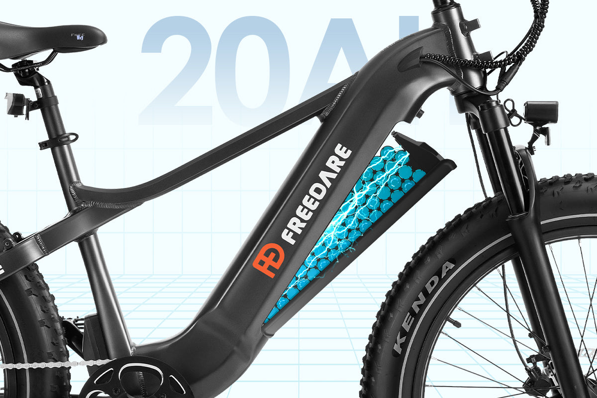 Freedare fat tire electric bike with 20AH SAMSUNG Battery