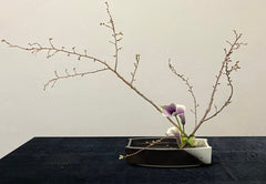 Ikebana arrangement with Cherry Blossom branches