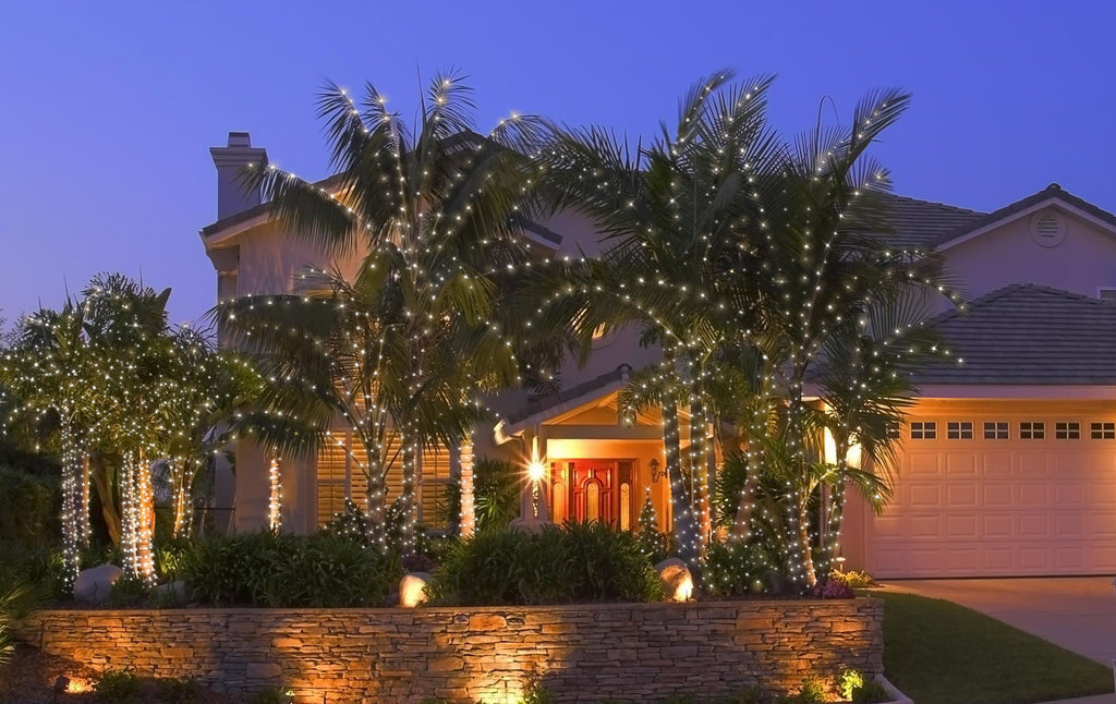 LED Palm Tree Lighting Kit, Up to 10' Palm, 200 Lights with Twinkle Ti