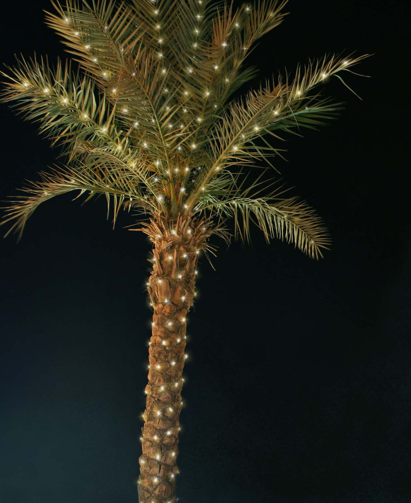 telegram Långiver serie LED Palm Tree Lighting Kit, Up to 10' Palm, 200 Lights with Twinkle Ti –  Trim-It-Quick!