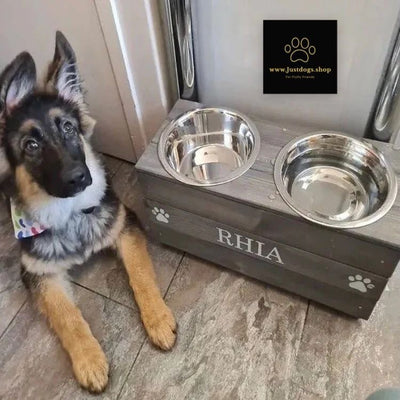 https://cdn.shopify.com/s/files/1/0647/8672/7147/products/double-raised-personalised-dog-bowl-24cm-high-grey-with-white-lettersdog-bowljustdogsshop-573075_400x400.jpg?v=1672393168