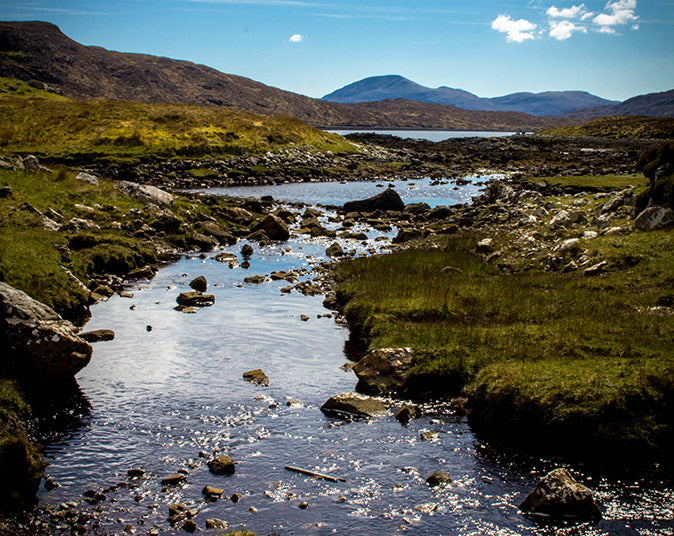 Aline Forest, Lewis