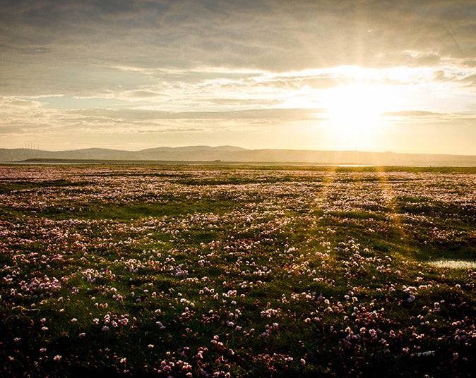 Isle of Lewis landscape