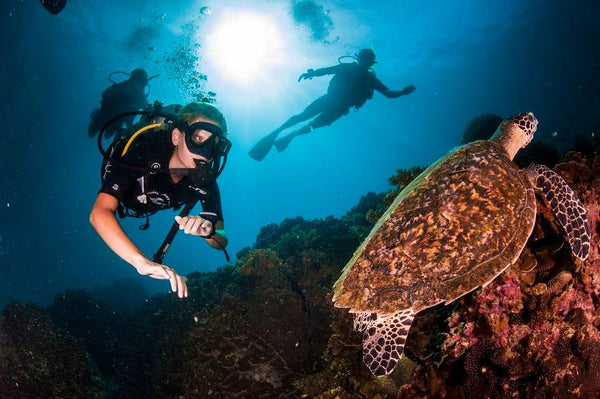 Mergulho em Koh Tao