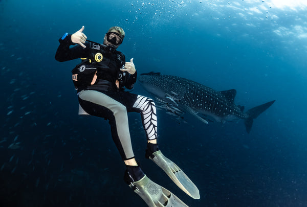 Divemaster con uno squalo balena a Sail Rock, Koh Tao. Tailandia