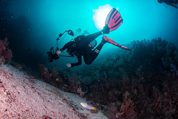 PADI Underwater Photographer Specialty Course