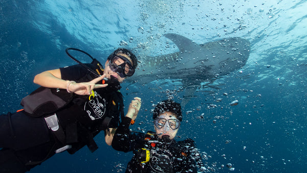 Niño y madre buceando con un tiburón ballena en Koh Tao, Tailandia