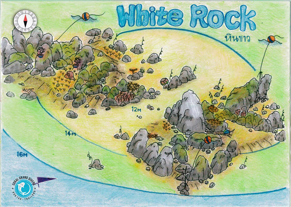 Plan du site de plongée de White Rock. Koh Tao, Thaïlande