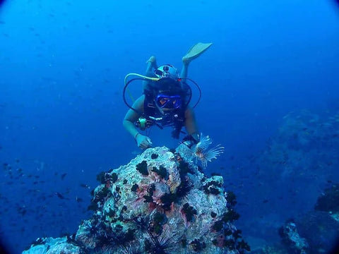 Gat diving instructor looking at marine life at Koh Tao, Thailand