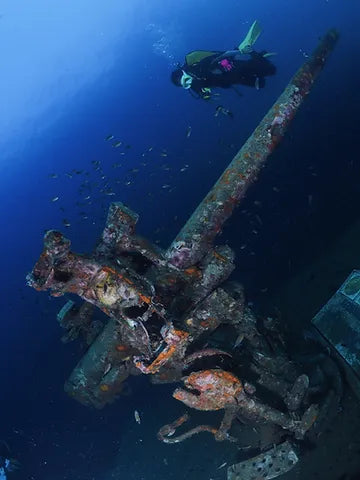 HTMS Sattakut Wreck canon at Koh Tao, Thailand