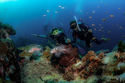 Divers buddies exploring a coral reef at Koh Tao, Thailand