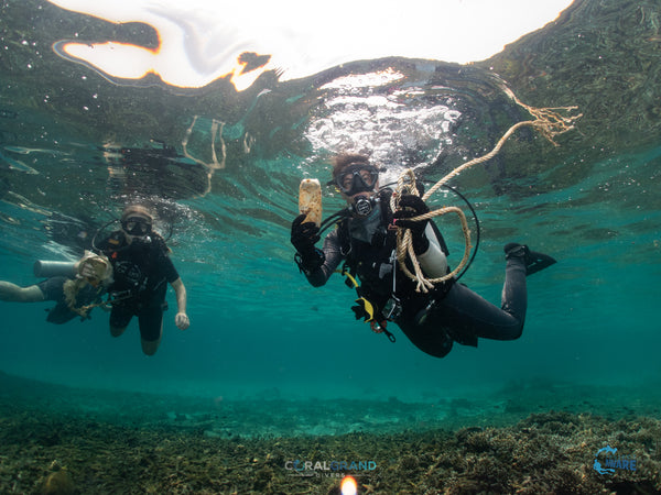 Protect the Oceans, become a Dive against the debris diver in Koh Tao