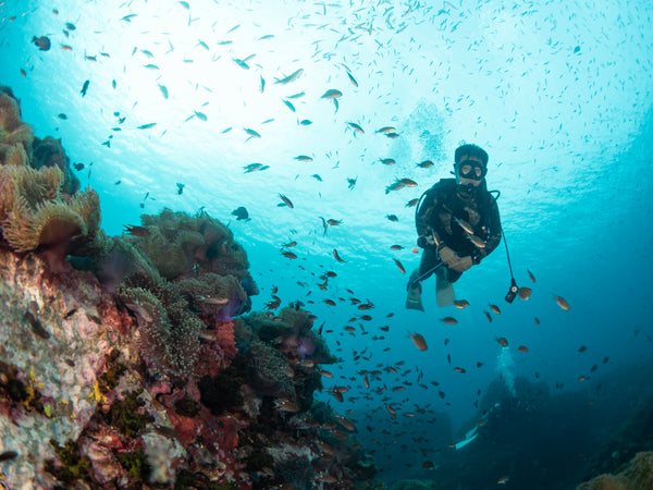 Scuba diver surrounded by fish in Koh Tao