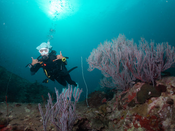 Diver at Hin Wong Pinnacles, Koh Tao. Thailand