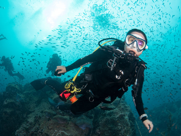 Penyelaman Koh Tao - Puncak Chumphon