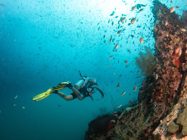 buceador submarino explorando el arrecife de coral