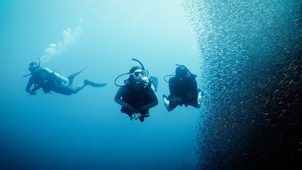 deep-diver-specialty-course-padi-en-koh-tao