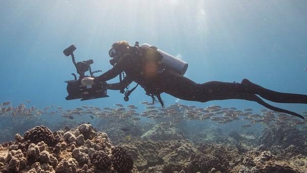 fotografo subacqueo nell'azione