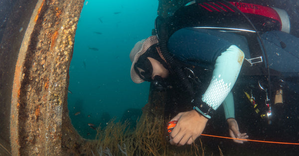 PADI Wracktaucher Spezialkurs in Koh Tao