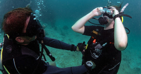 Open Water Tauchkurs in Koh Tao