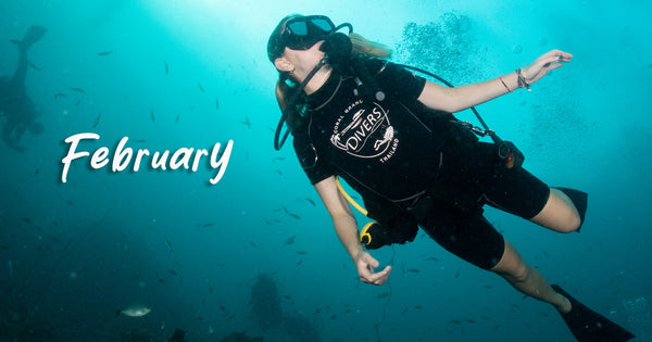 Koh Tao diving in February