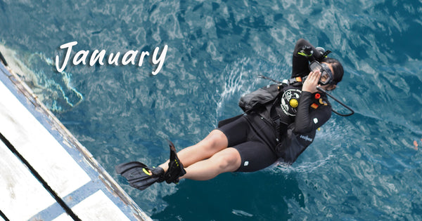 Koh Tao diving in January