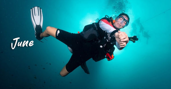 Koh Tao diving in June