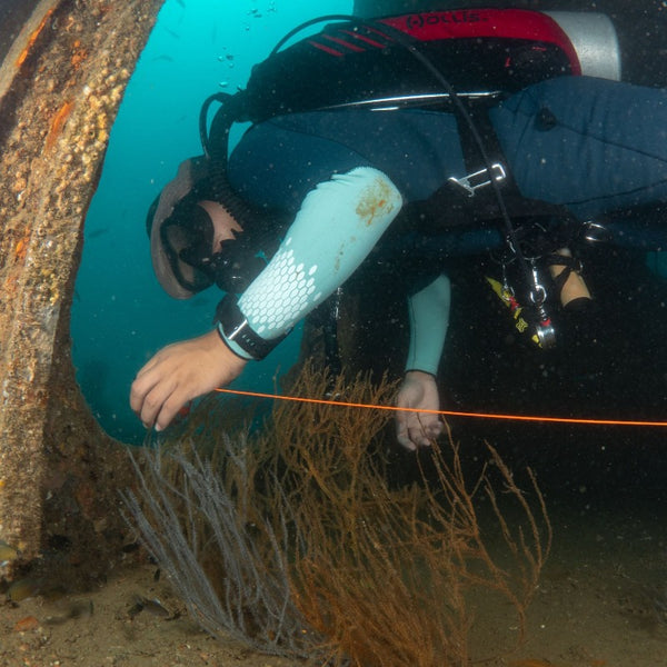 certificat de plongée sous-marine en plongée sur épave pour un certificat avancé en eau libre