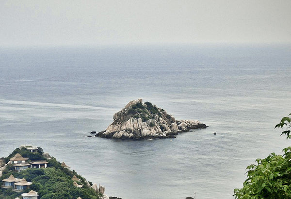 shark island in koh tao