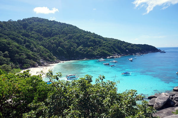 bucear-en-koh-tao-con-coral-grand-divers