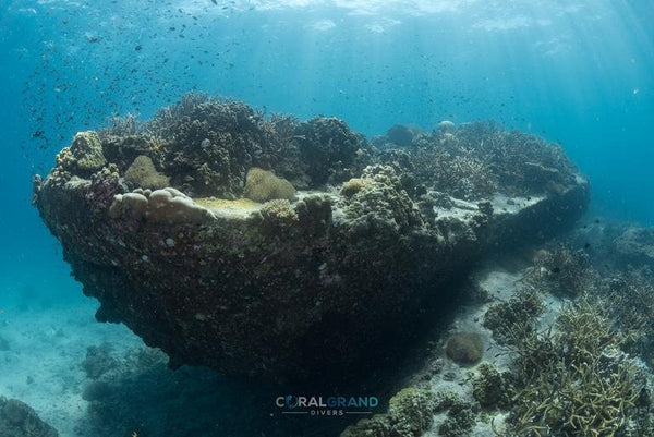 Pinnacolo del Twins Peak, Koh Tao. Tailandia