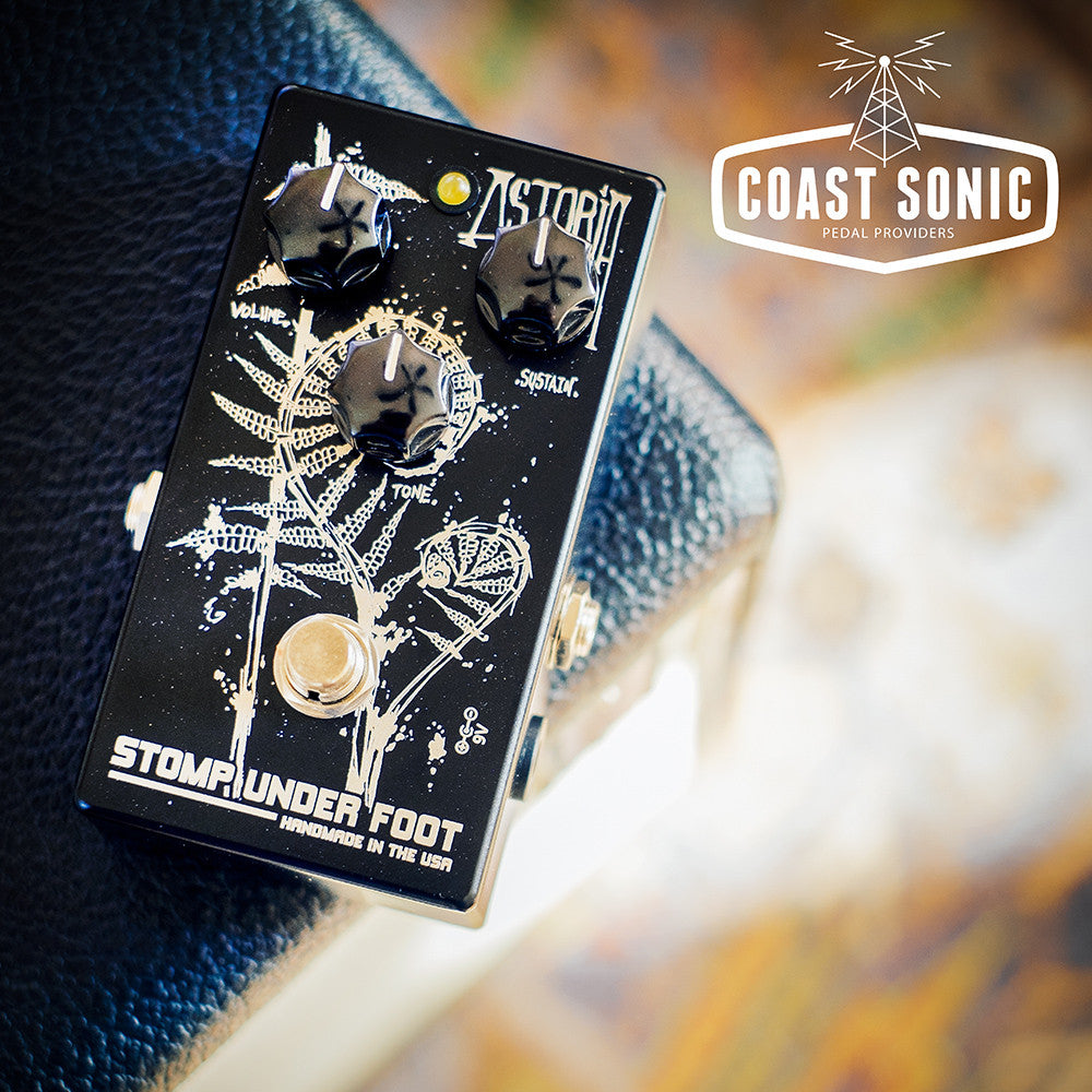 Stomp Under Foot X Coast Sonic - The Amherst Fuzz