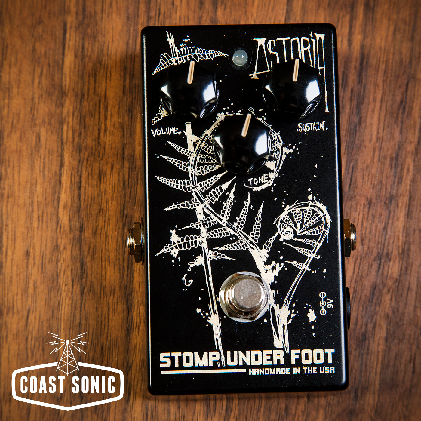 Stomp Under Foot X Coast Sonic - The Amherst Fuzz