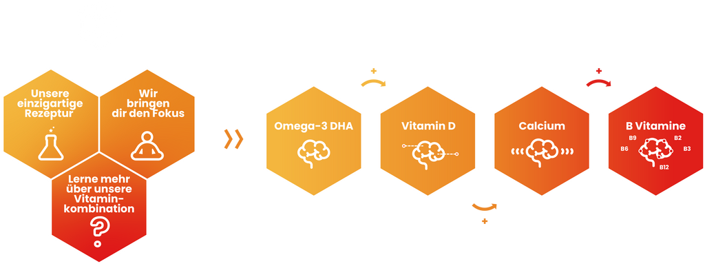 Die Grafik zeigt, wie die Vitaminen, Mineralien und Fettsäuren , welche im DEEP FOCUS den gelatinfreien Vitamingummibären enthalten sind, zusammen agieren. 