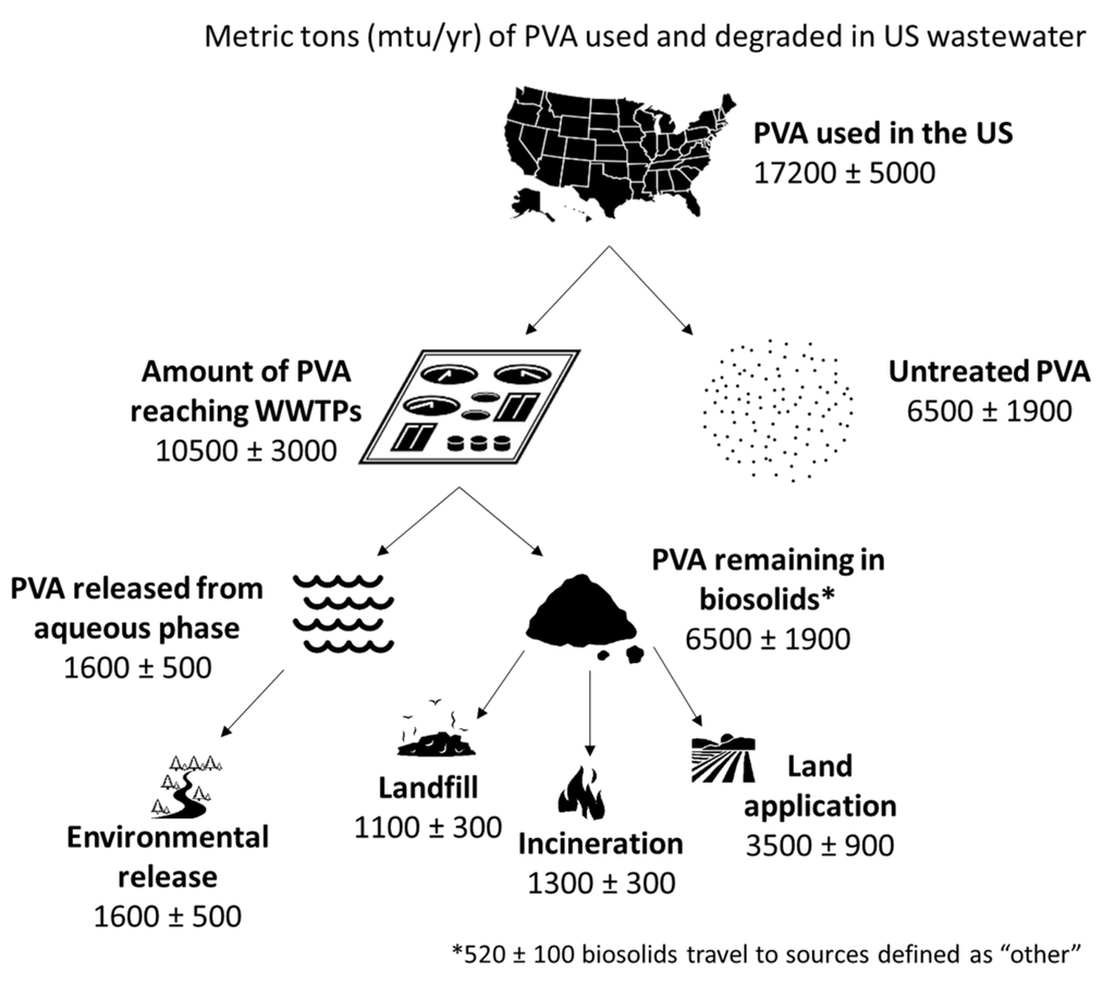 Polyvinyl Alcohol in US Wastewater Treatment Plants — Meliora Cleaning Products